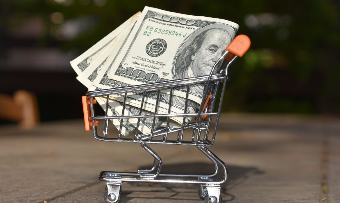 mini shopping cart with large dollar bills
