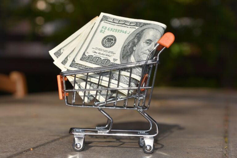 mini shopping cart with large dollar bills